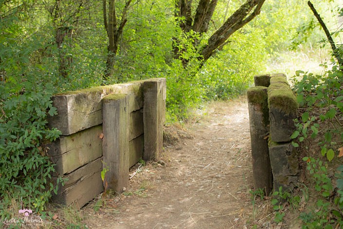 Petit pont en bois