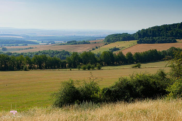 Payasage de campagne mosellane